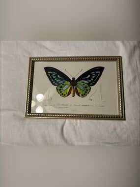 Framed Multicolor Butterfly Wall Art - Gold Frame